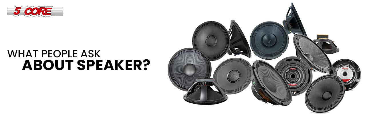 What People Ask About Speaker?