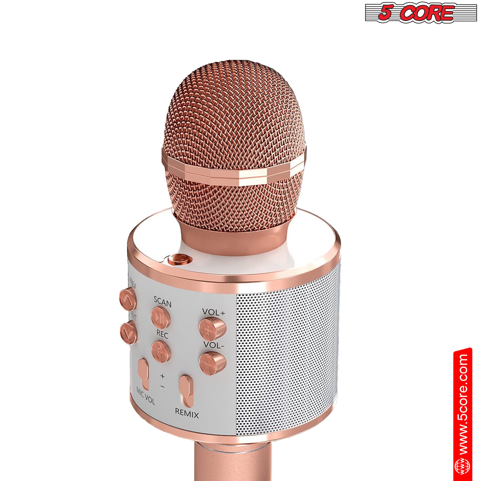 5 Core Karaoke Wireless Microphones