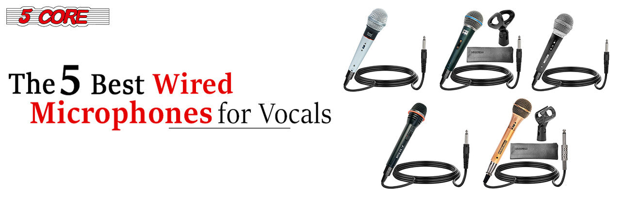 The 5 Best Wired Microphones for Vocals