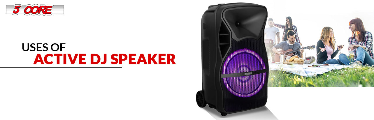 Party Speaker