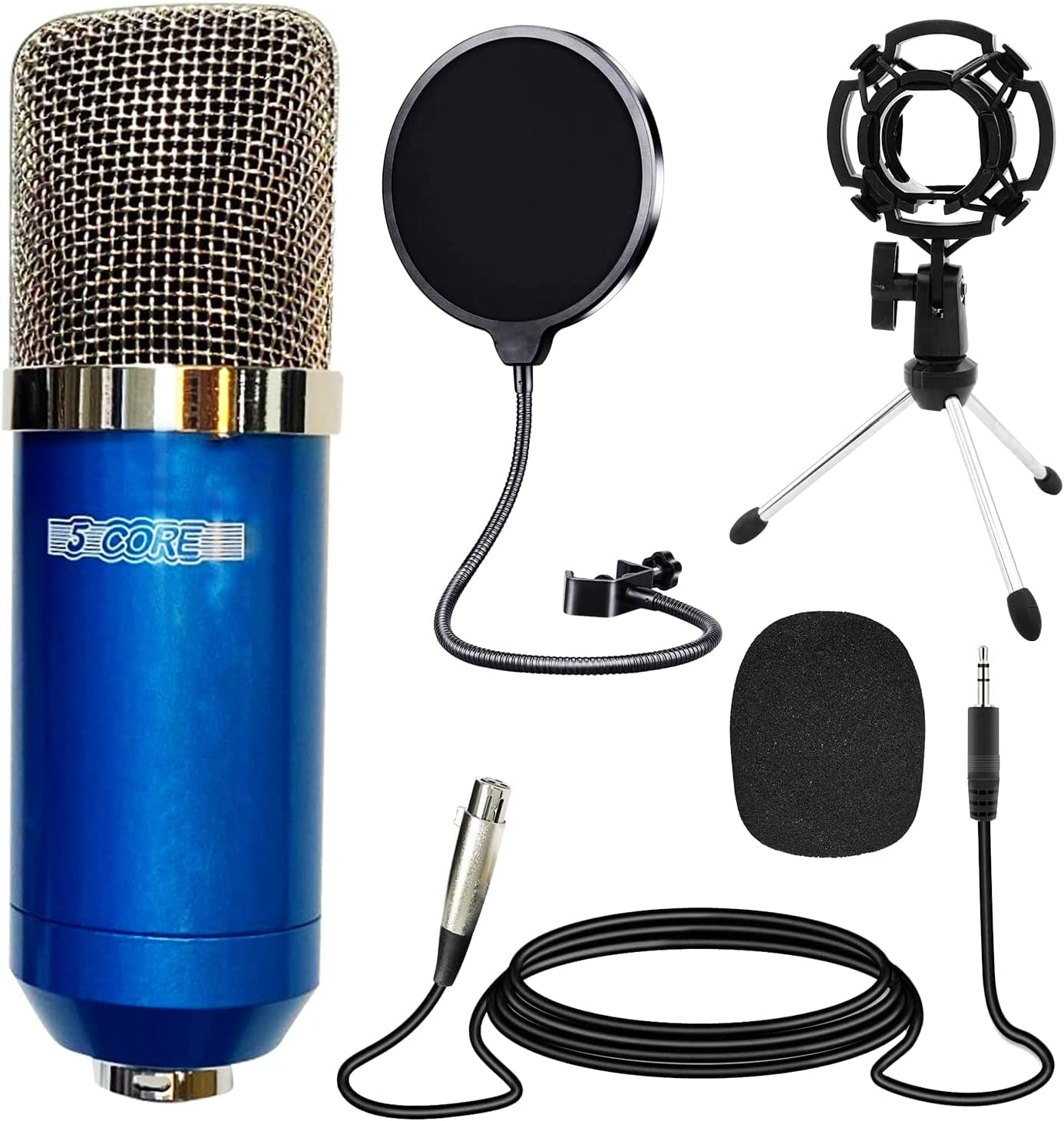 5 Core Studio Recording Kit Blue Include Recording Mic Desk Arm Shock Mount Sponge XLR Cable Mini Tripod