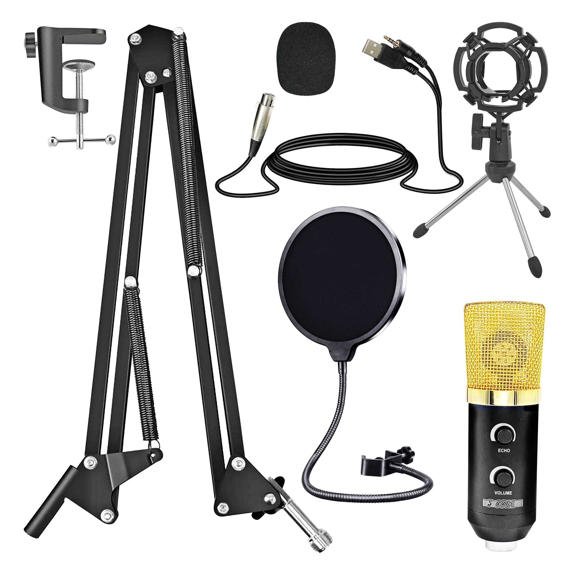 5 Core Studio Recording Kit Podcast Equipment Bundle Includes Recording Microphone Desk Arm Shock Mount Sponge XLR Cable Mini Tripod -RM 7 BG