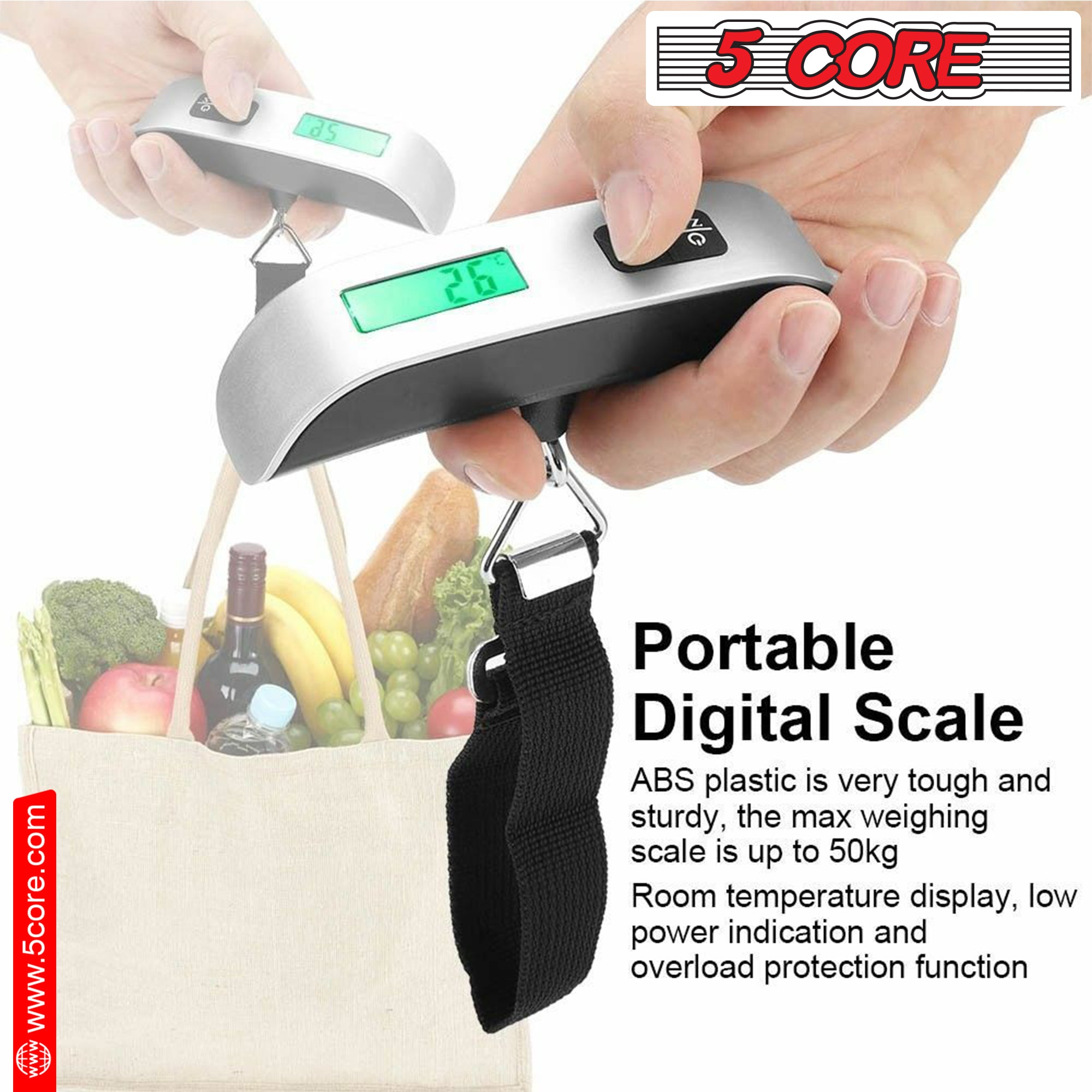 Fosmon Digital Luggage Scale, 110 LB Stainless Steel Hanging Handheld  Travel Scale with Tare Function - Silver