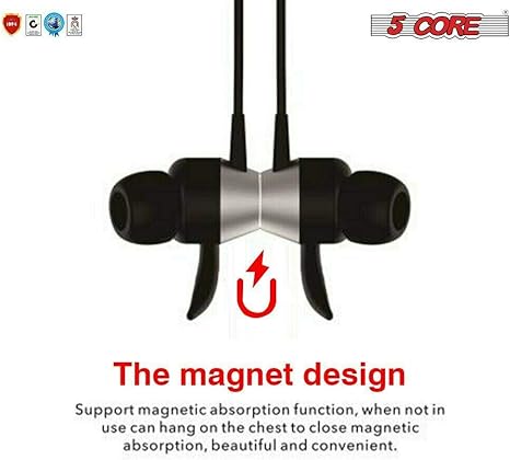 the magnet design