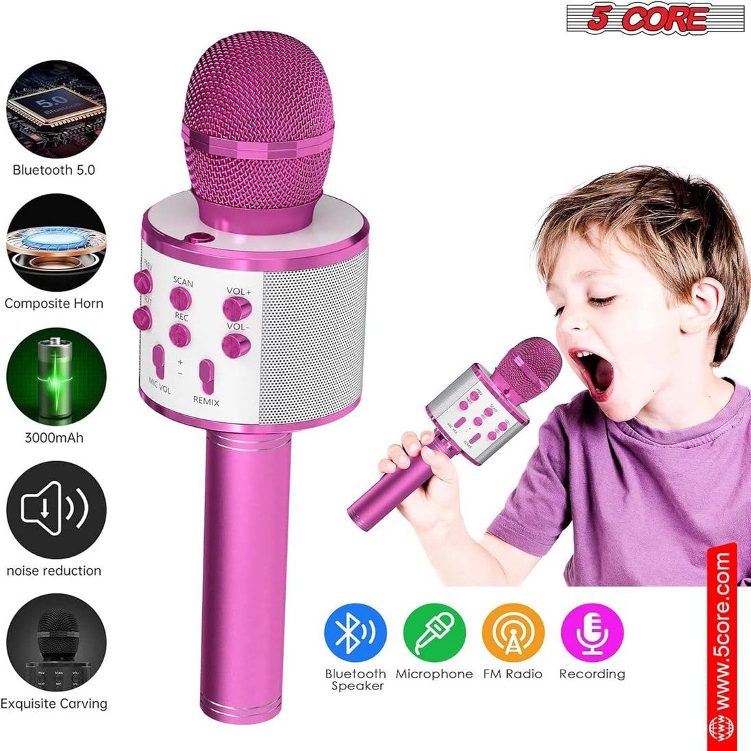 Handheld Cordless Singing Mic