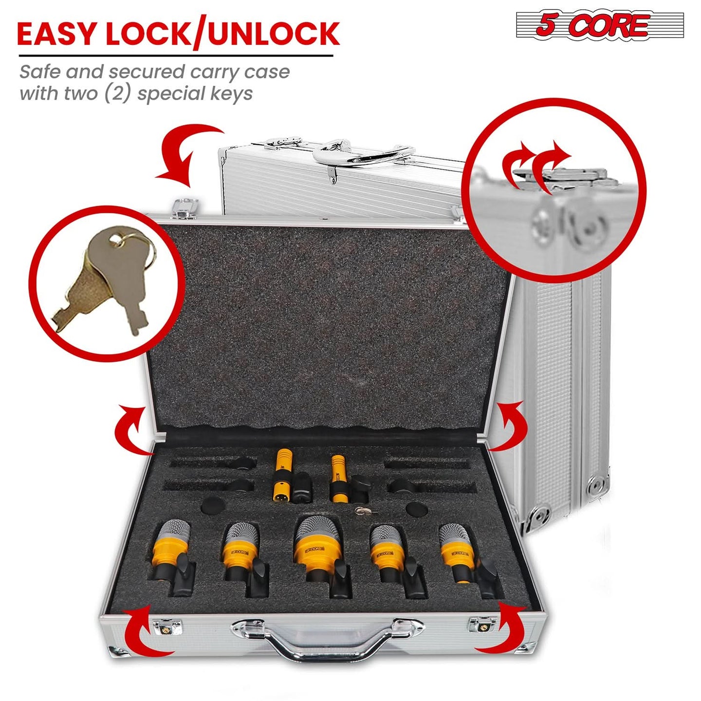 Professional microphone set with a sturdy lock/unlock carry case for protection.