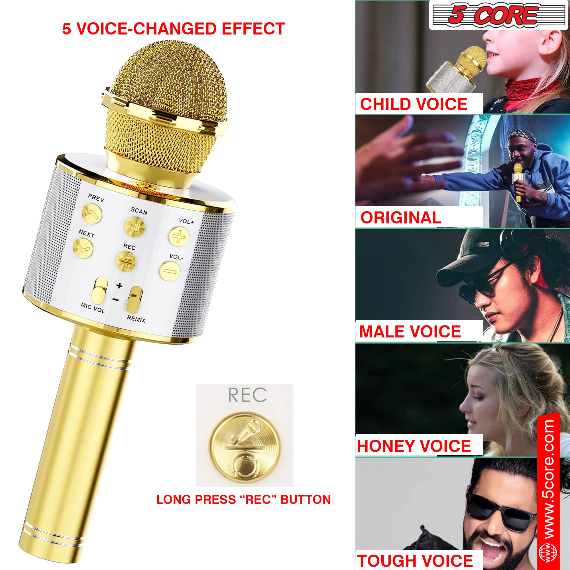 5 Core Bluetooth Wireless Karaoke Microphone, All-in-One Premium Handheld Karaoke Mic Speaker Recorder Player w/ Adjustable Remix FM Radio Great Gifts for Girls Boys Adults All Age (Gold)- WM SPK GLD