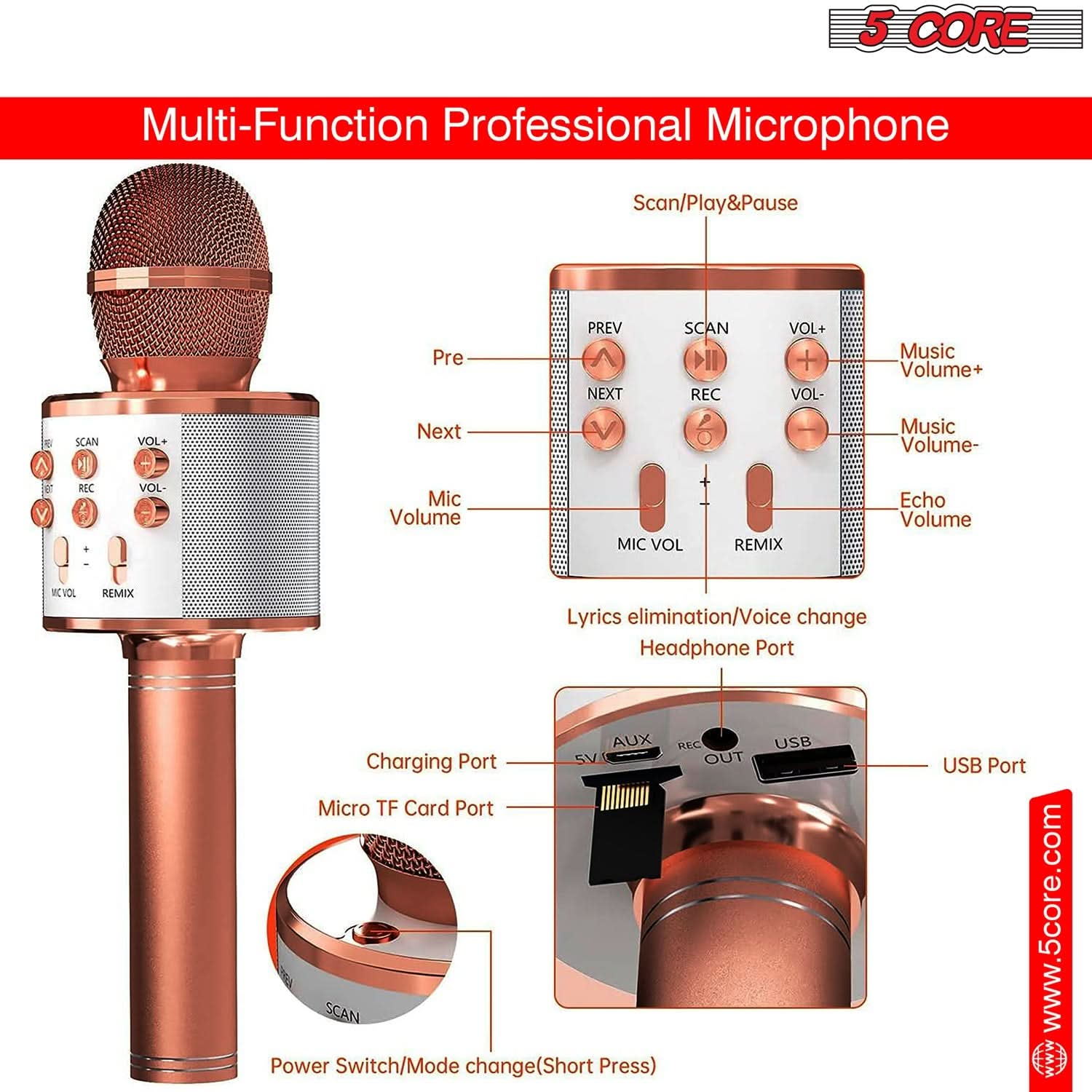 Handheld Cordless Singing Mic