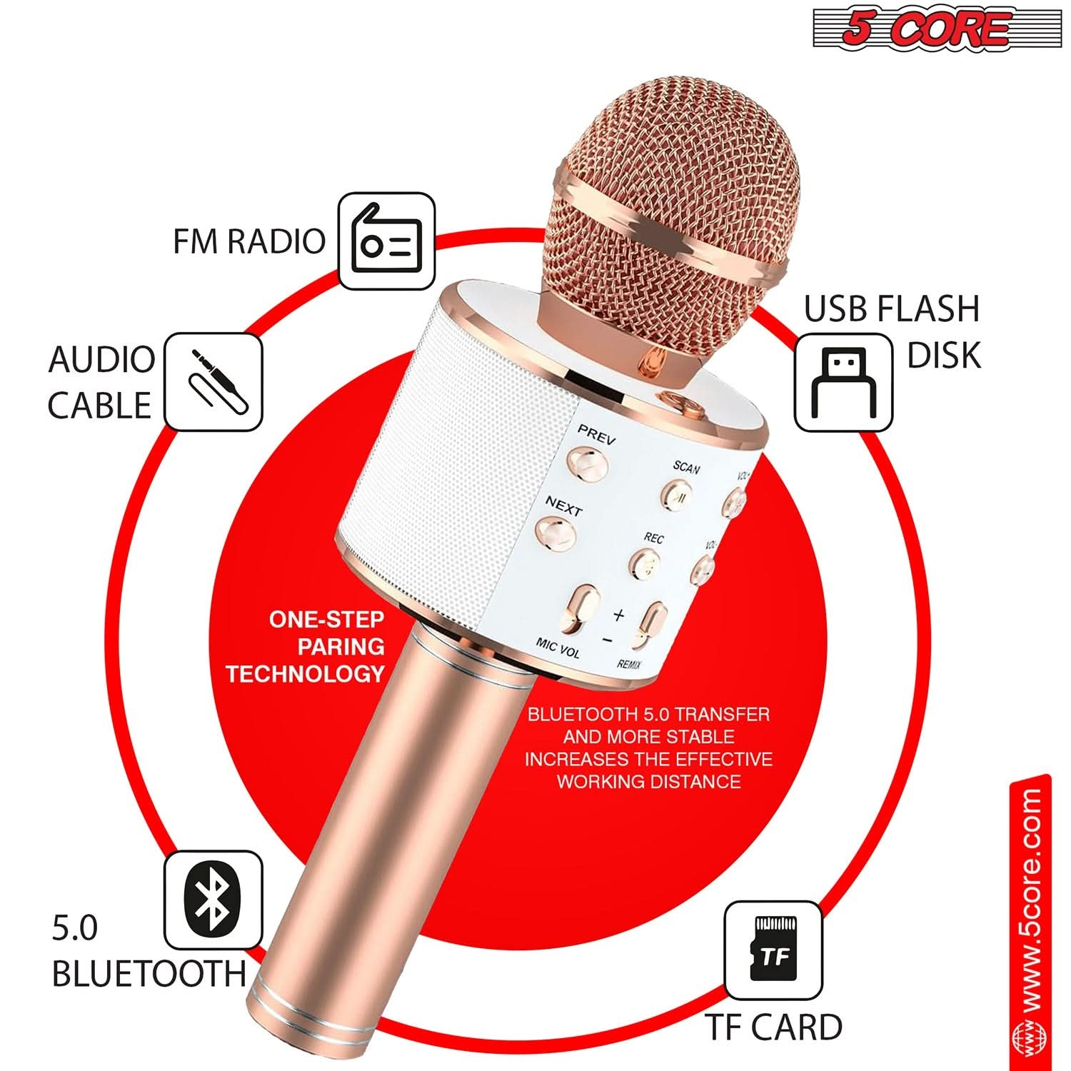 Cordless Karaoke Microfono